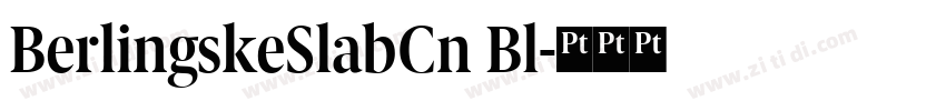 BerlingskeSlabCn Bl字体转换